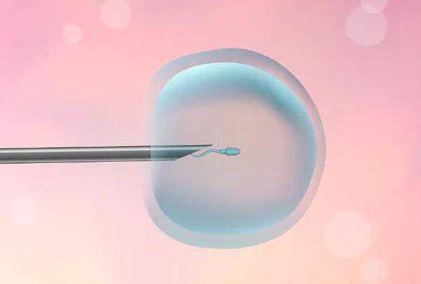 广州有代孕机构不|探索一下!南宁供卵试管生子需要什么条件才能怀孕呢?