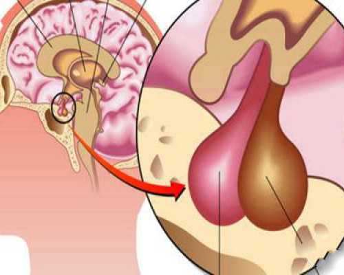 广州咨询代怀,湖北三代试管婴儿医院排名-附医院试管费用及成功率明细！-怀孕