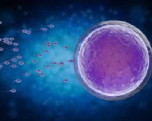 广州代孕套餐详情,合法供卵中心介绍(广州合法供卵试管中心)