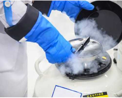 驴胶补血颗粒可以改善睡眠吗~助孕公司咨询