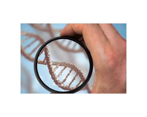 广州代怀公司信息,【北京供卵的医院、泰国供卵医院、广州供卵试管成功率】