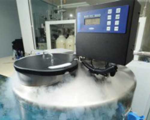 广州助孕中介哪里好坤和信赖,广州助孕机构有哪些?广州十月幸孕生殖中心带