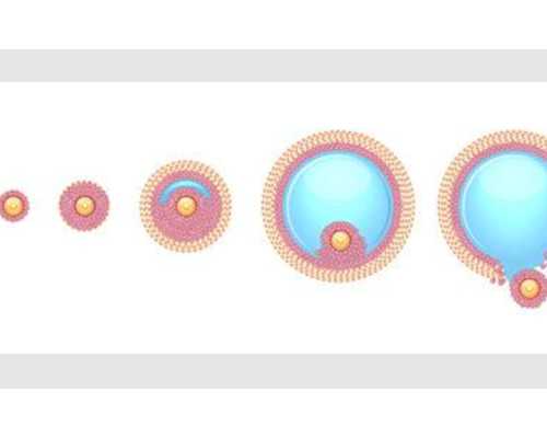 广州供卵代怀,广州正规捐卵机构