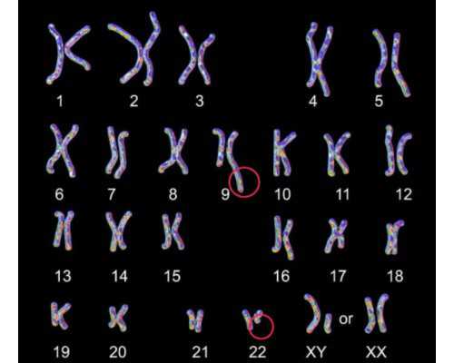 孕前饮食文案短句学生版