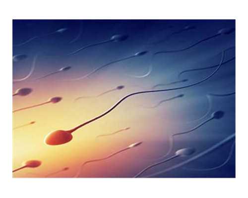 广州代怀供卵多少钱,广州供卵代怀攻略