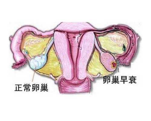 广州做试管附近住宿,广州住宿推荐