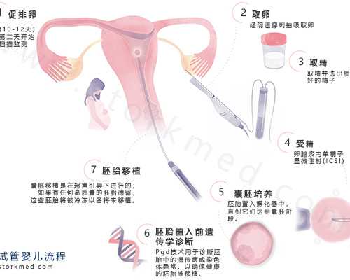 南溪山试管成功率多少