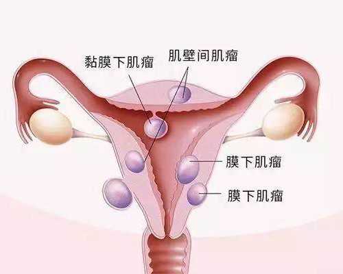 38岁amh:38岁amh值多少为卵巢正常~供卵公司怎么样