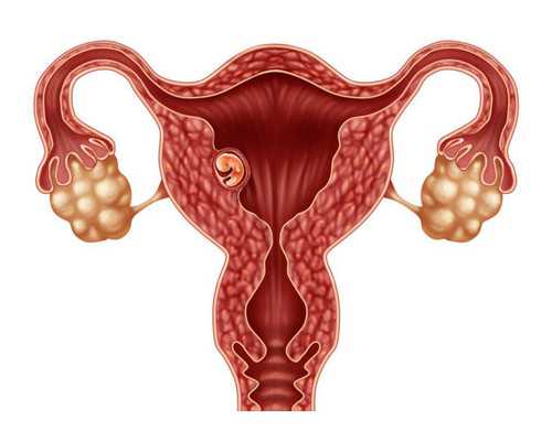 广州供卵医院地址（广州供卵医院知名十月幸孕助孕）_试管帮app