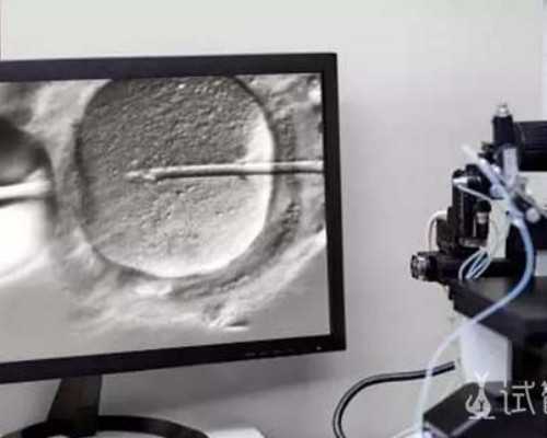 因乾隆笔误而得名的糕点-云片糕