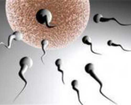 在广州供卵被骗说一下,广州供卵骗局有些什么套路?-君子好色