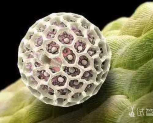 手淫会不会导致不孕不育，最新回应来了！~助孕公司官网