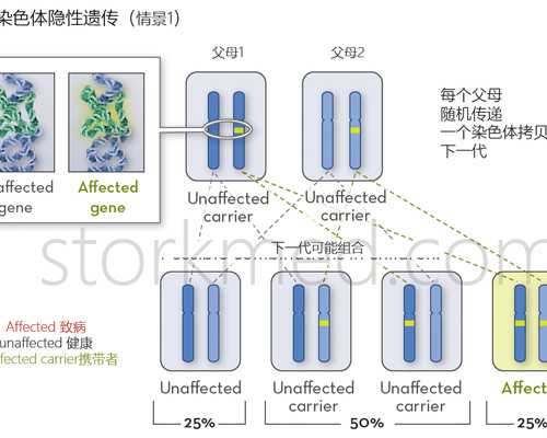 在广州正规医疗中心做供卵试管要花多少钱？,广州试管最好供卵医院（广州供
