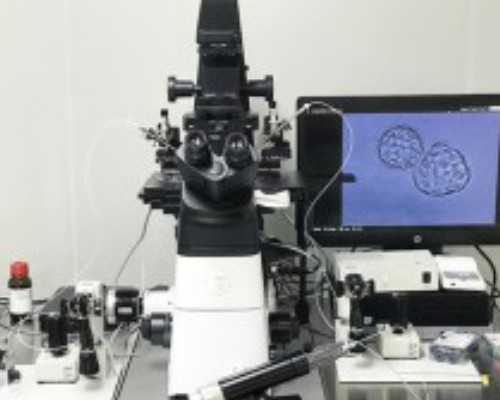 鹿胎膏能治卵巢早衰~试管代怀宝宝