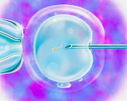 试管婴儿一共多少钱