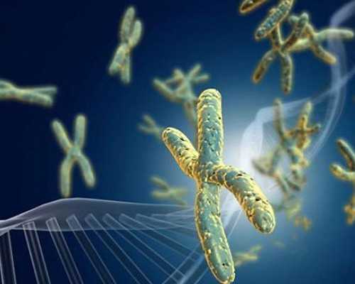 广州如何看待代孕合法化|淮安供卵试管医院：第三代试管婴儿费用包含哪些？