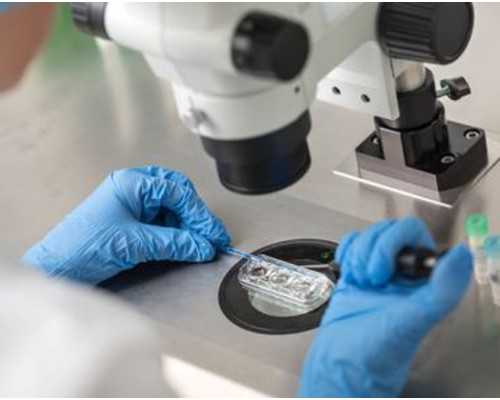 广州一般医院代孕费用,第三代试管婴儿：广州合法供卵试管中心，供卵需要多