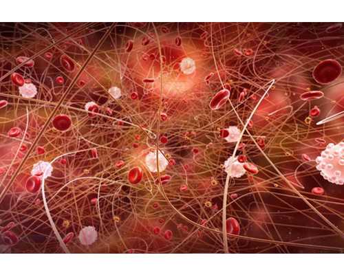 广州正规捐卵在哪里,广州正规助孕服务简介