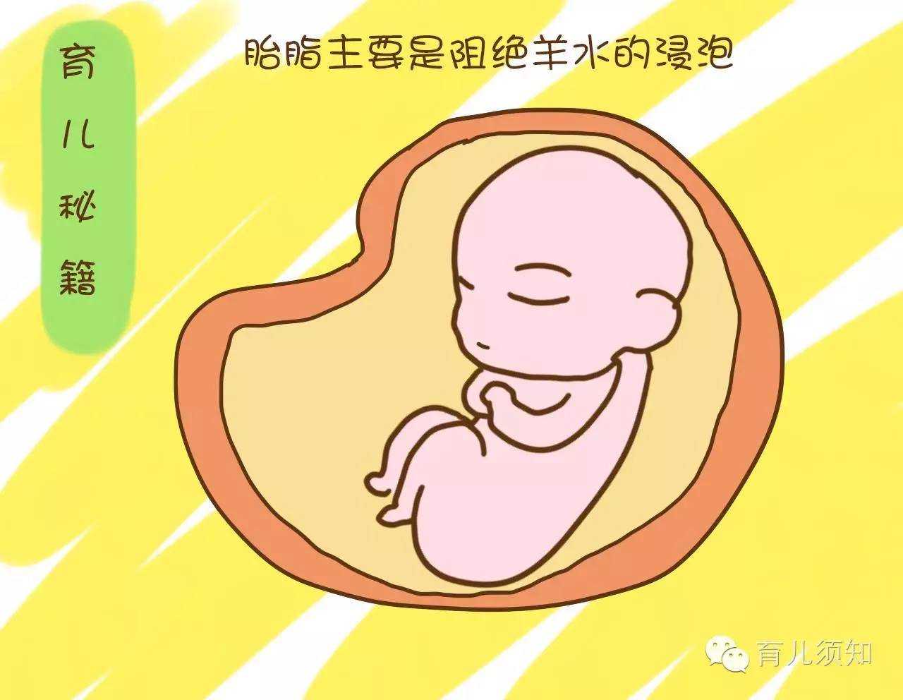 广州代孕价格_哪些国家允许合法代孕