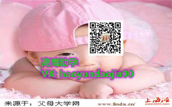 广州试管代怀孕公司,广州找个人生孩子给多少钱