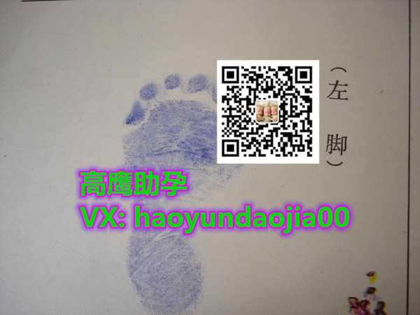 广州专业助代怀孕包成功,广州代孕可以选择性别