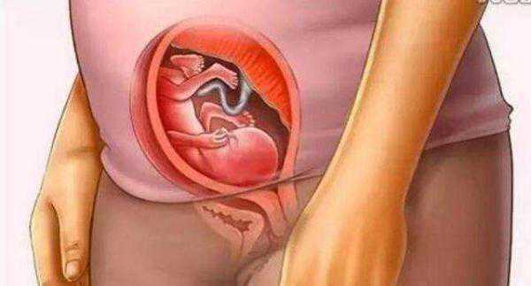 胎儿是怎么被孕育出来的？十张图带你看孕育过程，生而为人要感恩